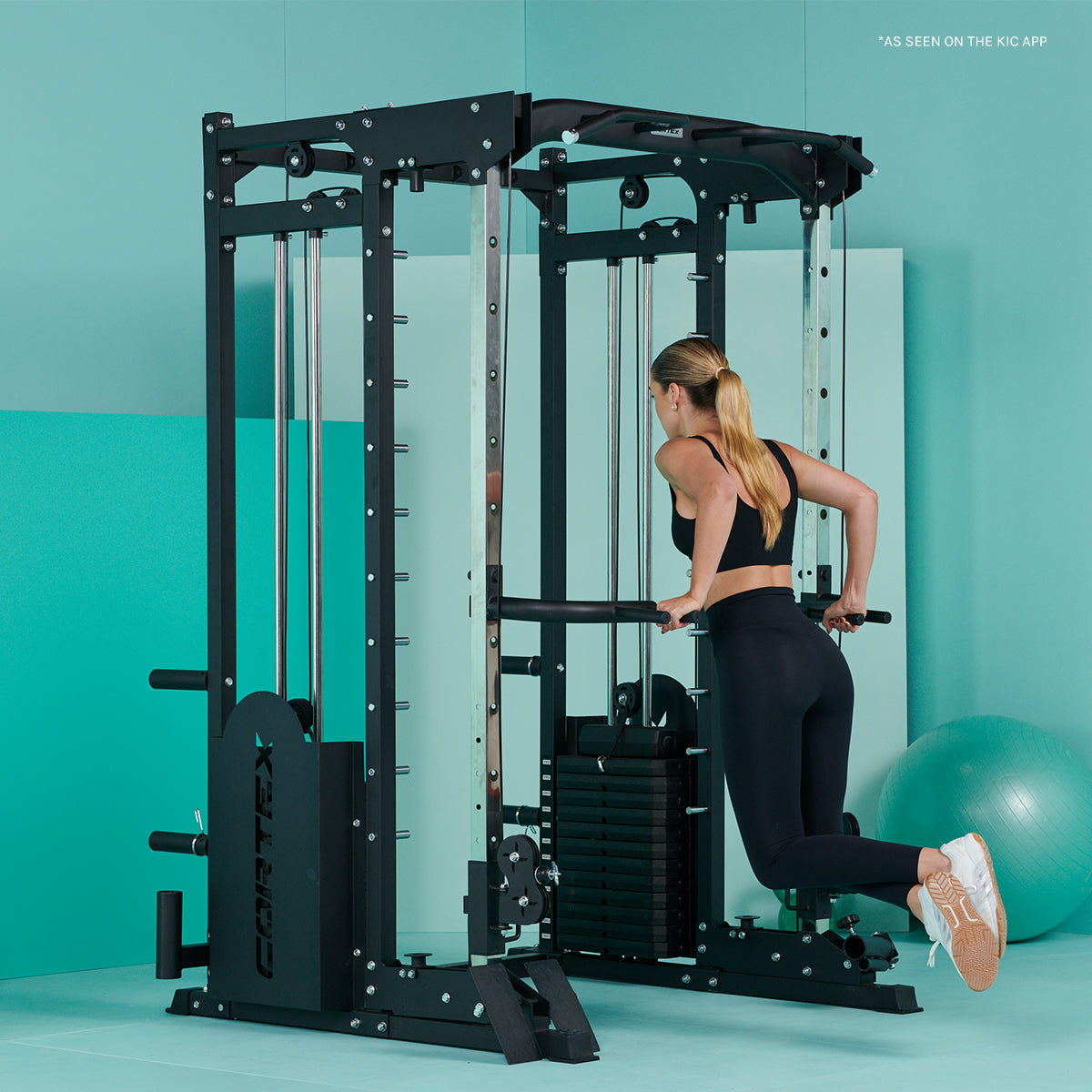 Multi Gym (Dual Stack Functional Trainer, Smith Machine, Half Rack)